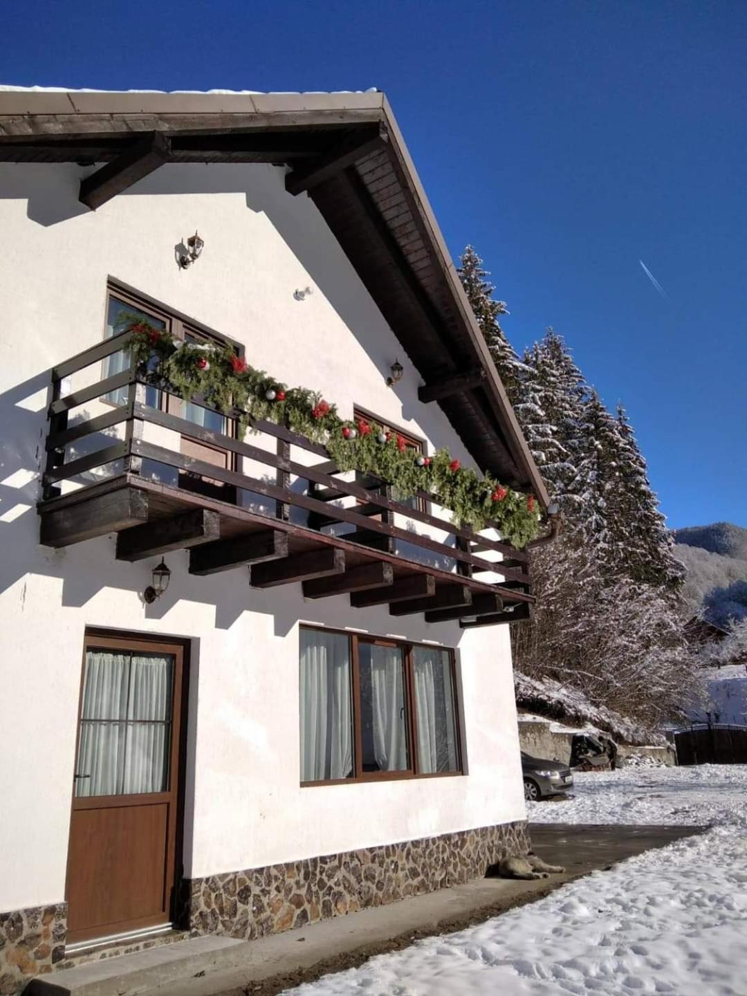 Casa Valea Prejbei Vila Rau Sadului Exterior foto