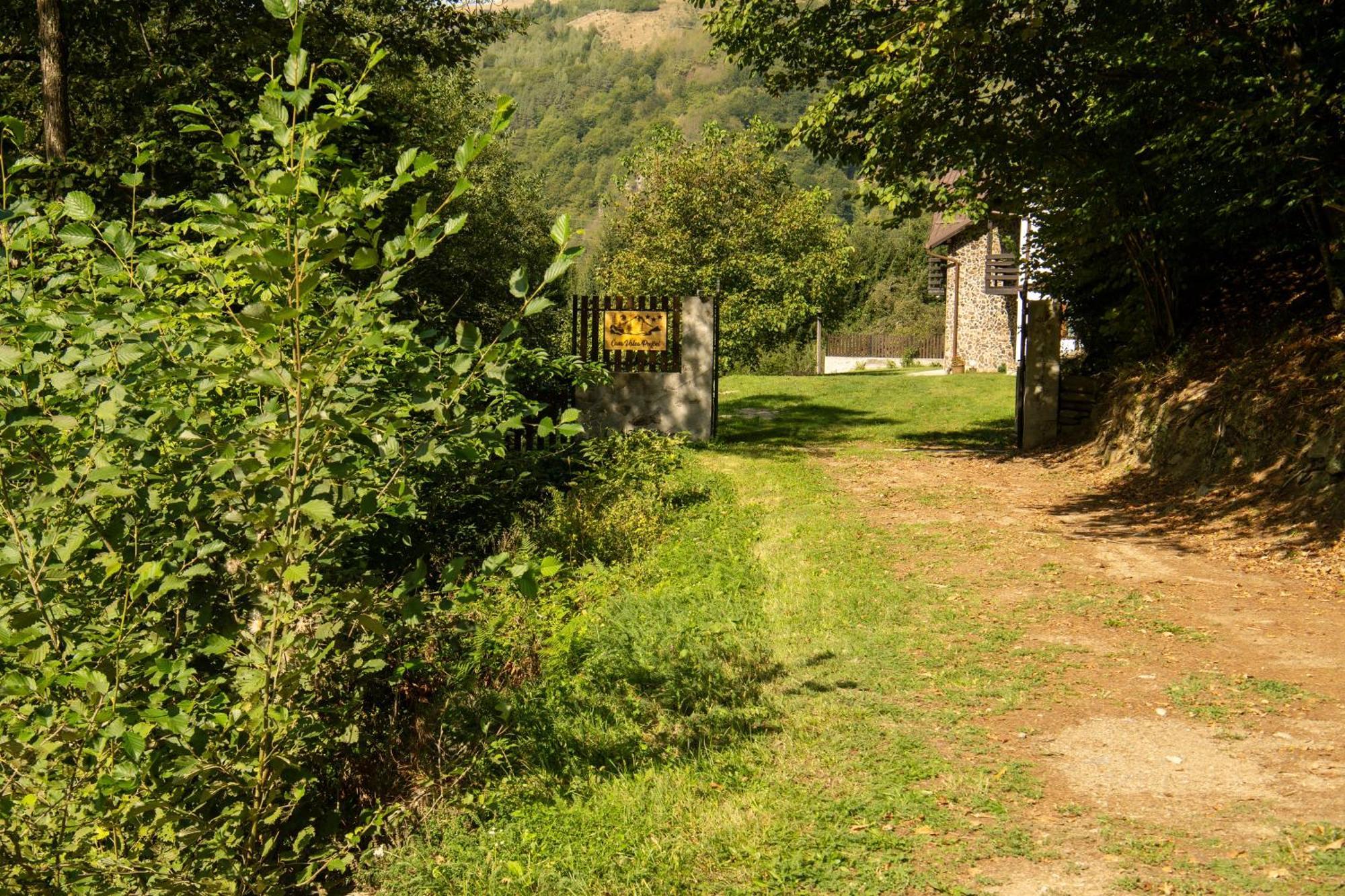 Casa Valea Prejbei Vila Rau Sadului Exterior foto
